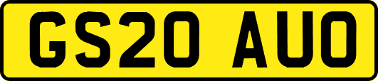 GS20AUO