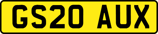 GS20AUX