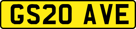 GS20AVE