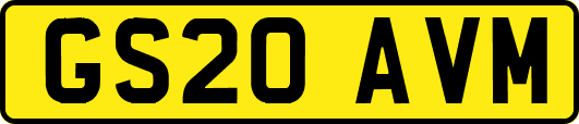 GS20AVM