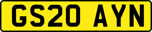 GS20AYN