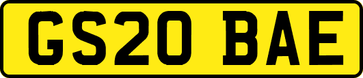 GS20BAE