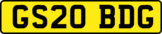 GS20BDG