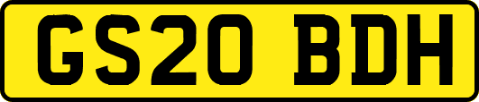 GS20BDH
