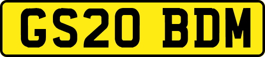 GS20BDM