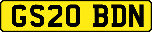 GS20BDN