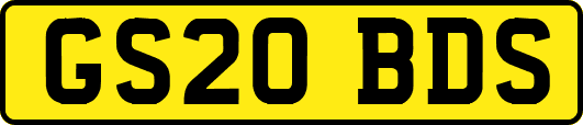 GS20BDS