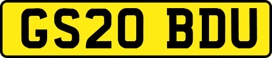 GS20BDU