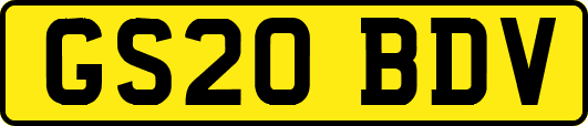 GS20BDV