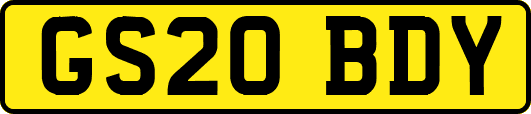 GS20BDY
