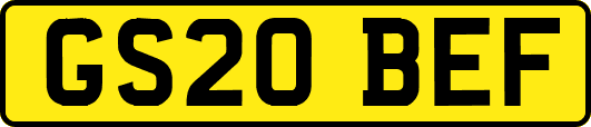 GS20BEF