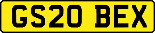GS20BEX