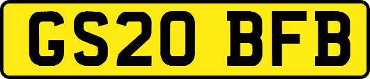 GS20BFB