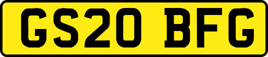 GS20BFG