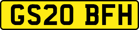 GS20BFH