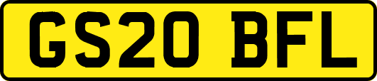 GS20BFL