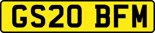 GS20BFM
