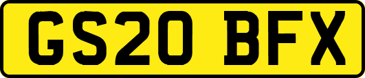 GS20BFX