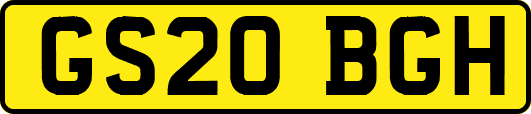 GS20BGH