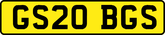 GS20BGS