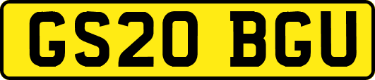 GS20BGU