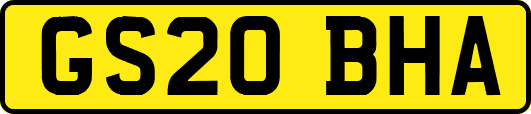 GS20BHA