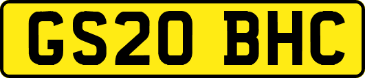 GS20BHC