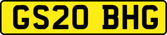 GS20BHG