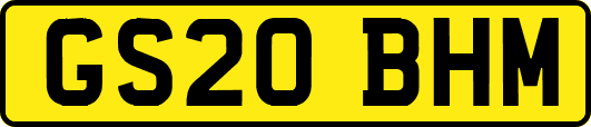 GS20BHM
