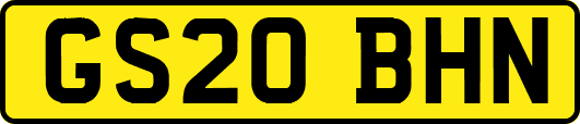 GS20BHN
