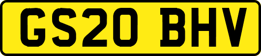 GS20BHV