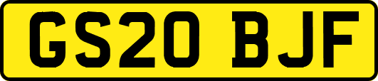 GS20BJF
