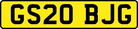 GS20BJG