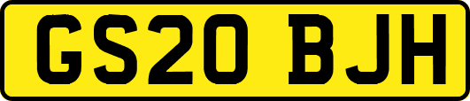 GS20BJH