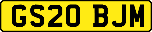 GS20BJM