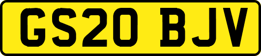 GS20BJV
