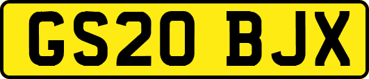 GS20BJX