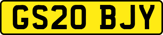 GS20BJY