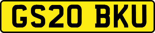 GS20BKU