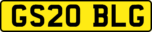 GS20BLG