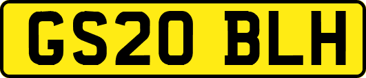 GS20BLH