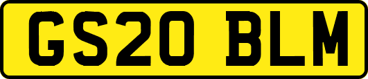 GS20BLM