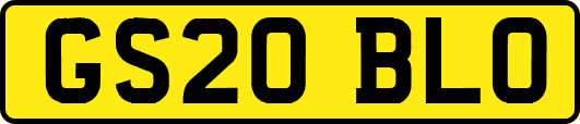 GS20BLO