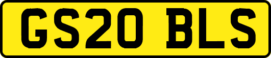 GS20BLS