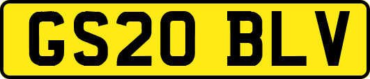 GS20BLV