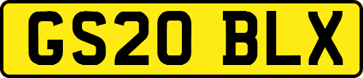 GS20BLX