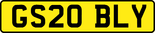 GS20BLY