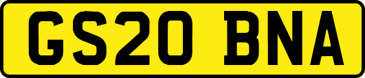GS20BNA