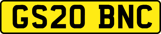 GS20BNC