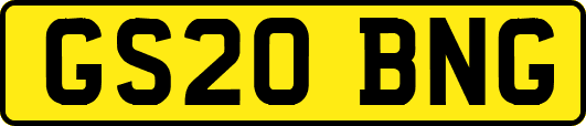 GS20BNG